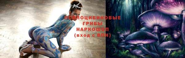 сатива Арсеньев