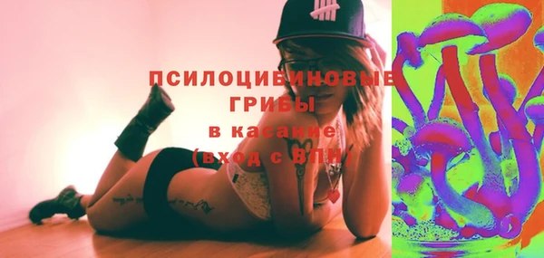 гашик Аркадак