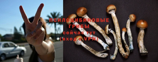 гидра Балабаново