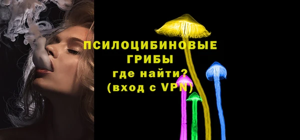 гашик Аркадак