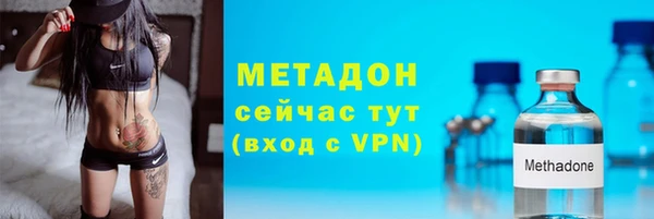 гашик Алексин