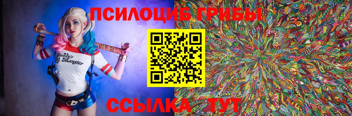 Псилоцибиновые грибы Psilocybine cubensis  Псилоцибиновые грибы Psilocybine cubensis  Вход с VPN  Кинель 